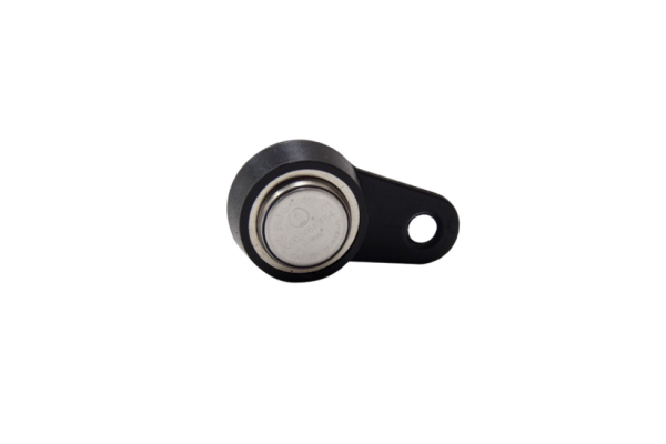 LOXONE Elektronischer Schlüssel - iButton magnetisch